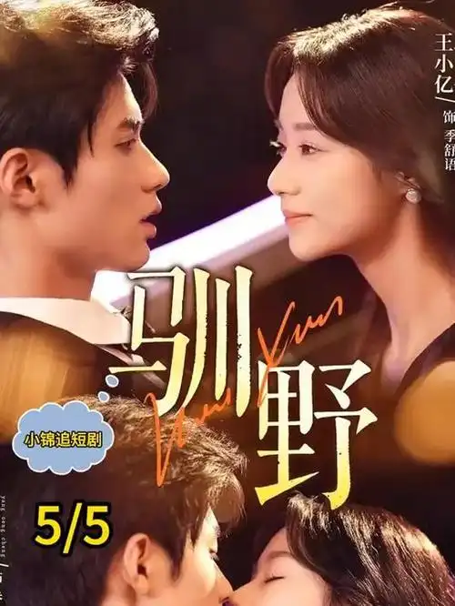 白色回声医疗剧全集手机在线观看